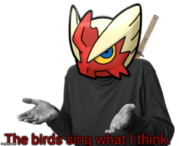 I guess I'll (Blaze the Blaziken) | The birds sing what I think. | image tagged in i guess i'll blaze the blaziken | made w/ Imgflip meme maker