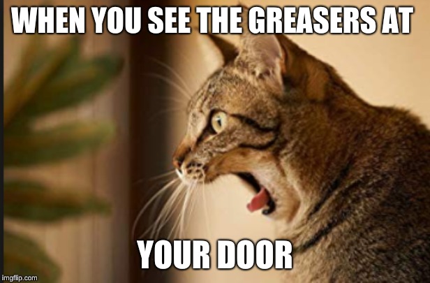 WHEN YOU SEE THE GREASERS AT; YOUR DOOR | image tagged in grumpy cat | made w/ Imgflip meme maker