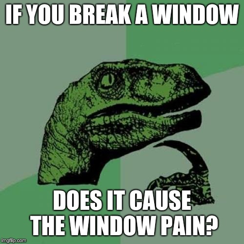 Philosoraptor Meme | IF YOU BREAK A WINDOW; DOES IT CAUSE THE WINDOW PAIN? | image tagged in memes,philosoraptor | made w/ Imgflip meme maker