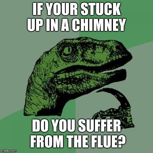 Philosoraptor | IF YOUR STUCK UP IN A CHIMNEY; DO YOU SUFFER FROM THE FLUE? | image tagged in memes,philosoraptor | made w/ Imgflip meme maker