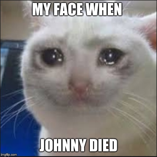 look at this cat face its so sad | MY FACE WHEN; JOHNNY DIED | image tagged in cats | made w/ Imgflip meme maker