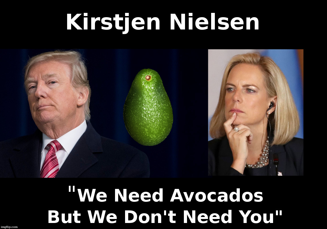 Kirstjen Nielsen | image tagged in donald trump,avocado,kirstjen nielsen | made w/ Imgflip meme maker
