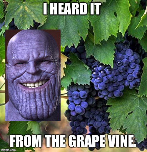 I HEARD IT; FROM THE GRAPE VINE. | image tagged in thanos | made w/ Imgflip meme maker