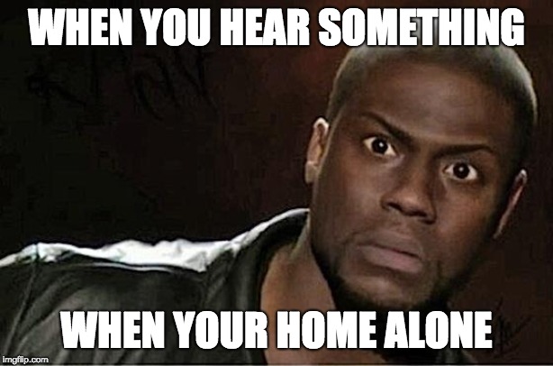 Kevin Hart Meme | WHEN YOU HEAR SOMETHING; WHEN YOUR HOME ALONE | image tagged in memes,kevin hart | made w/ Imgflip meme maker