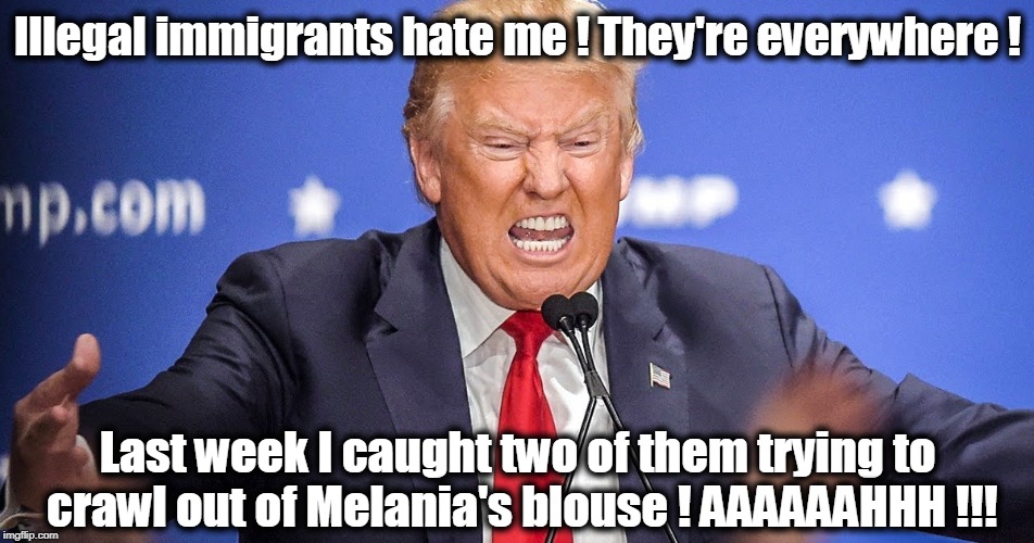 Illegal immigrants hate me ! They're everywhere ! Last week I caught two of them trying to crawl out of Melania's blouse ! AAAAAAHHH !!! | image tagged in trump,melania,immigrants,unhinged | made w/ Imgflip meme maker