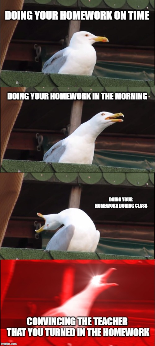 Inhaling Seagull Meme | DOING YOUR HOMEWORK ON TIME; DOING YOUR HOMEWORK IN THE MORNING; DOING YOUR HOMEWORK DURING CLASS; CONVINCING THE TEACHER THAT YOU TURNED IN THE HOMEWORK | image tagged in memes,inhaling seagull | made w/ Imgflip meme maker