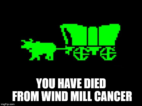 Oregon trail | YOU HAVE DIED FROM WIND MILL CANCER | image tagged in oregon trail | made w/ Imgflip meme maker