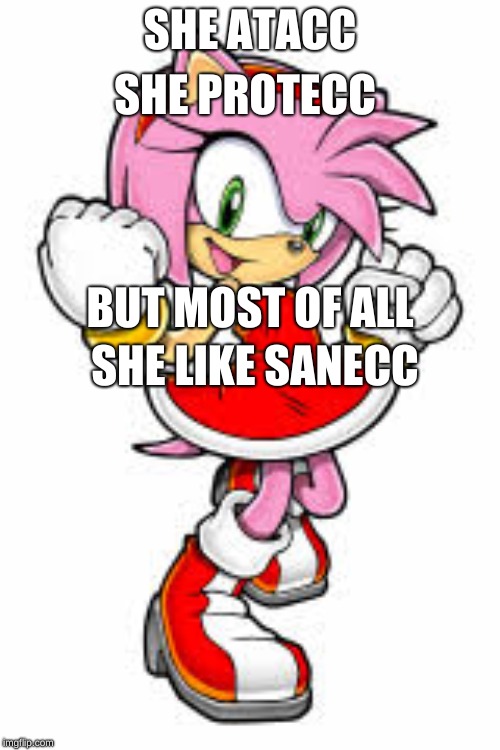 SHE PROTECC; SHE ATACC; BUT MOST OF ALL; SHE LIKE SANECC | image tagged in amy | made w/ Imgflip meme maker