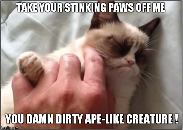Don't Touch Grumpy ! | TAKE YOUR STINKING PAWS OFF ME; YOU DAMN DIRTY APE-LIKE CREATURE ! | image tagged in cats,grumpy cat,planet of the apes | made w/ Imgflip meme maker