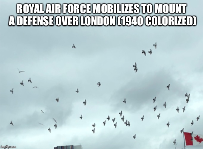 ROYAL AIR FORCE MOBILIZES TO MOUNT A DEFENSE OVER LONDON (1940 COLORIZED) | image tagged in history | made w/ Imgflip meme maker