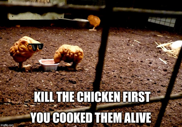 Kill the chicken first | KILL THE CHICKEN FIRST; YOU COOKED THEM ALIVE | image tagged in chicken,cool,chicken nuggets | made w/ Imgflip meme maker