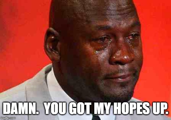 crying michael jordan | DAMN.  YOU GOT MY HOPES UP. | image tagged in crying michael jordan | made w/ Imgflip meme maker