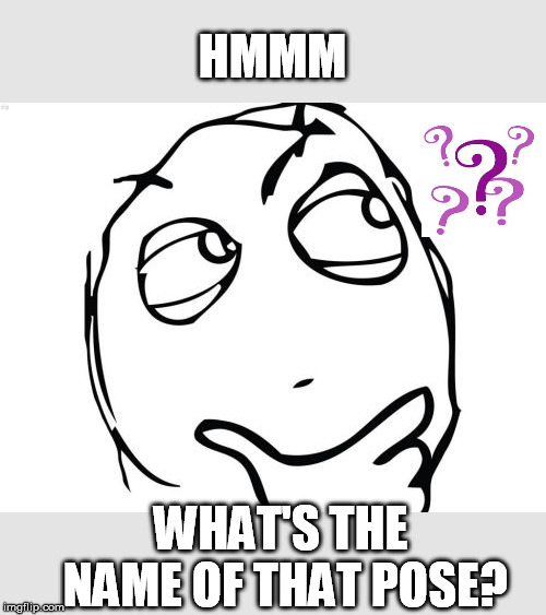 Question Rage Face Meme | HMMM WHAT'S THE NAME OF THAT POSE? | image tagged in memes,question rage face | made w/ Imgflip meme maker