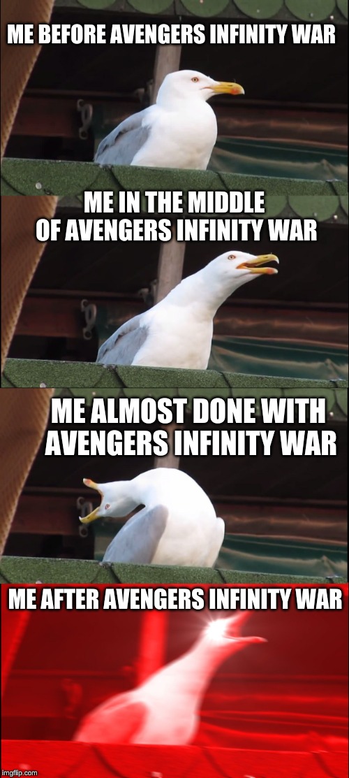 Inhaling Seagull | ME BEFORE AVENGERS INFINITY WAR; ME IN THE MIDDLE OF AVENGERS INFINITY WAR; ME ALMOST DONE WITH AVENGERS INFINITY WAR; ME AFTER AVENGERS INFINITY WAR | image tagged in memes,inhaling seagull | made w/ Imgflip meme maker