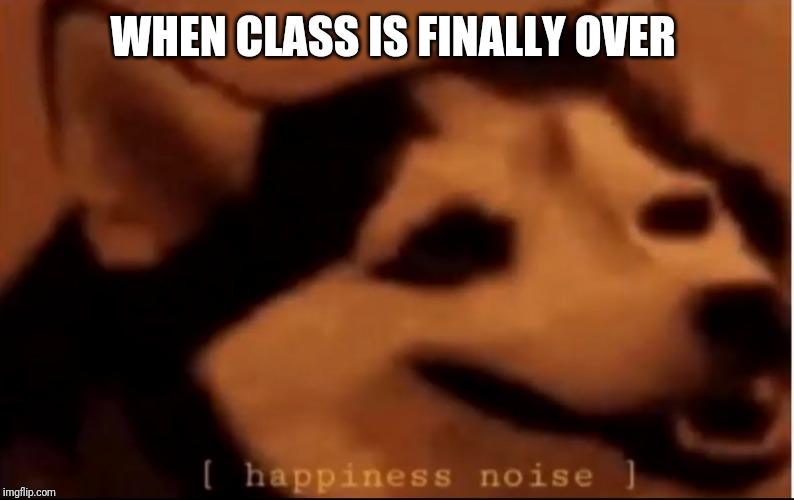 [hapiness noise] | WHEN CLASS IS FINALLY OVER | image tagged in hapiness noise | made w/ Imgflip meme maker