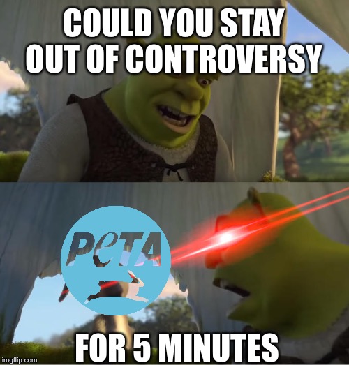 Shrek For Five Minutes | COULD YOU STAY OUT OF CONTROVERSY; FOR 5 MINUTES | image tagged in shrek for five minutes | made w/ Imgflip meme maker