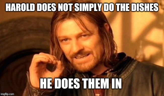 One Does Not Simply Meme | HAROLD DOES NOT SIMPLY DO THE DISHES HE DOES THEM IN | image tagged in memes,one does not simply | made w/ Imgflip meme maker