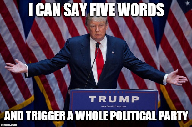 Donald Trump | I CAN SAY FIVE WORDS AND TRIGGER A WHOLE POLITICAL PARTY | image tagged in donald trump | made w/ Imgflip meme maker