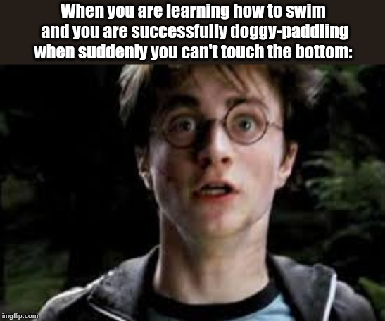 When you are learning how to swim and you are successfully doggy-paddling when suddenly you can't touch the bottom: | image tagged in harry potter,harry potter meme,memes | made w/ Imgflip meme maker