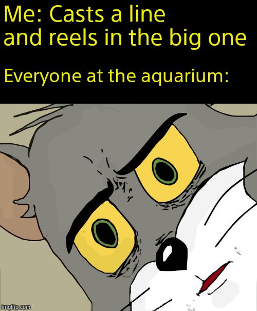 Inspired, stolen and dictated to by the late, great Katechuks. | Me: Casts a line and reels in the big one; Everyone at the aquarium: | image tagged in memes,unsettled tom | made w/ Imgflip meme maker