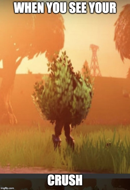 Fortnite bush | WHEN YOU SEE YOUR; CRUSH | image tagged in fortnite bush | made w/ Imgflip meme maker