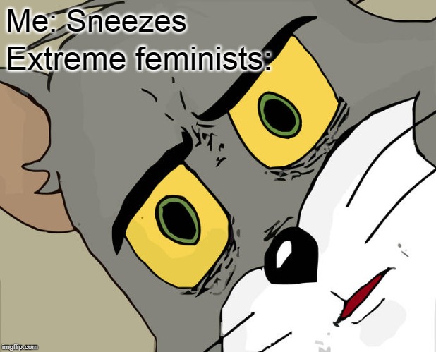 Actully more like: https://www.ecosia.org/images?q=screeming+women+hitting+a+man#id=B93E72BF8E786A63BB353EEA716ABA9FFBF9EDDD | Me: Sneezes; Extreme feminists: | image tagged in memes,unsettled tom | made w/ Imgflip meme maker