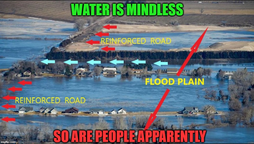 Water doesnt care about your feelings | WATER IS MINDLESS; SO ARE PEOPLE APPARENTLY | image tagged in flooding,disaster,human stupidity,stupid people,americans,oblivious | made w/ Imgflip meme maker