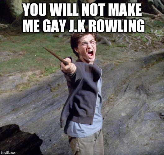 Harry potter | YOU WILL NOT MAKE ME GAY J.K ROWLING | image tagged in harry potter | made w/ Imgflip meme maker