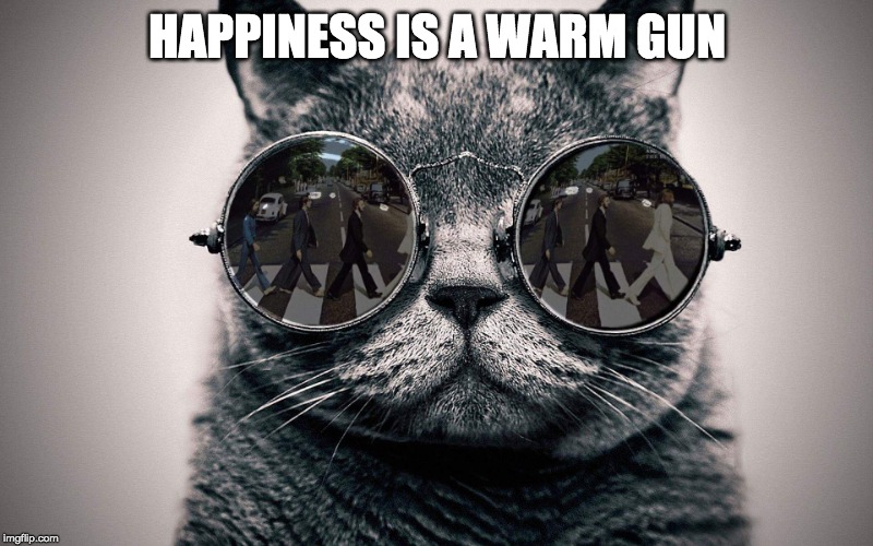 Beatles cat | HAPPINESS IS A WARM GUN | image tagged in beatles cat | made w/ Imgflip meme maker