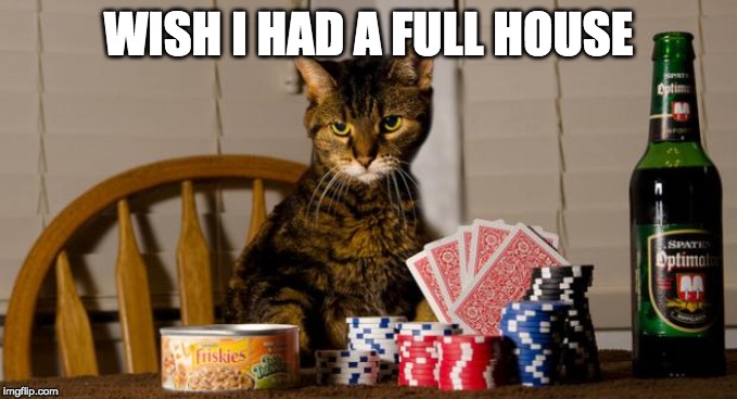 Poker Cat | WISH I HAD A FULL HOUSE | image tagged in poker cat | made w/ Imgflip meme maker