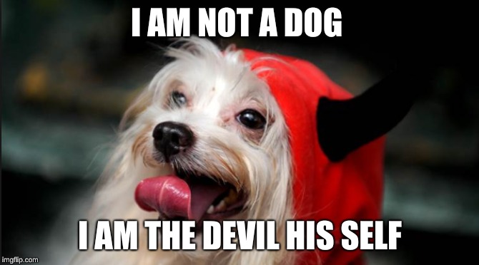 I AM NOT A DOG; I AM THE DEVIL HIS SELF | image tagged in funny | made w/ Imgflip meme maker