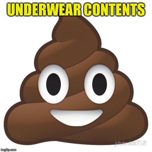 poop | UNDERWEAR CONTENTS | image tagged in poop | made w/ Imgflip meme maker