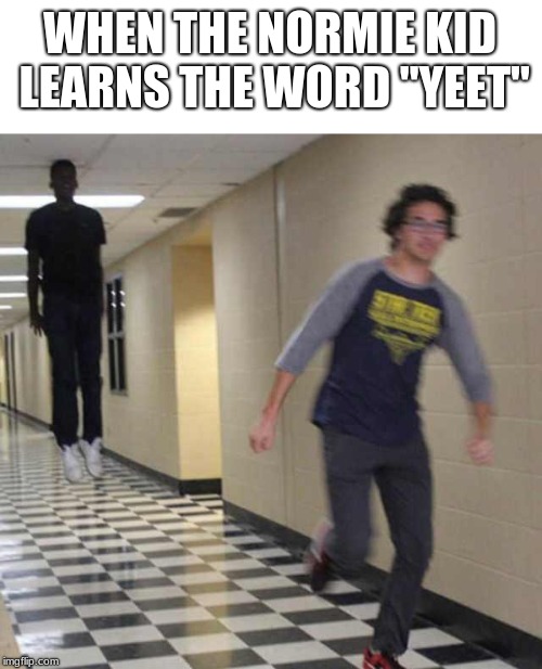floating boy chasing running boy | WHEN THE NORMIE KID LEARNS THE WORD "YEET" | image tagged in floating boy chasing running boy | made w/ Imgflip meme maker