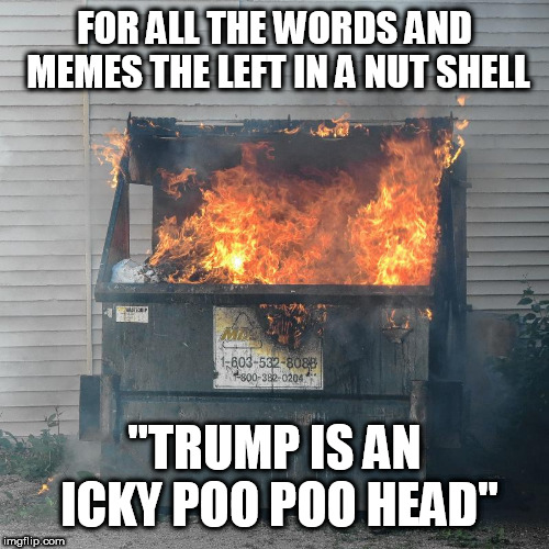 Dumpster fire DNC  | FOR ALL THE WORDS AND MEMES THE LEFT IN A NUT SHELL; "TRUMP IS AN ICKY POO POO HEAD" | image tagged in dumpster fire dnc | made w/ Imgflip meme maker