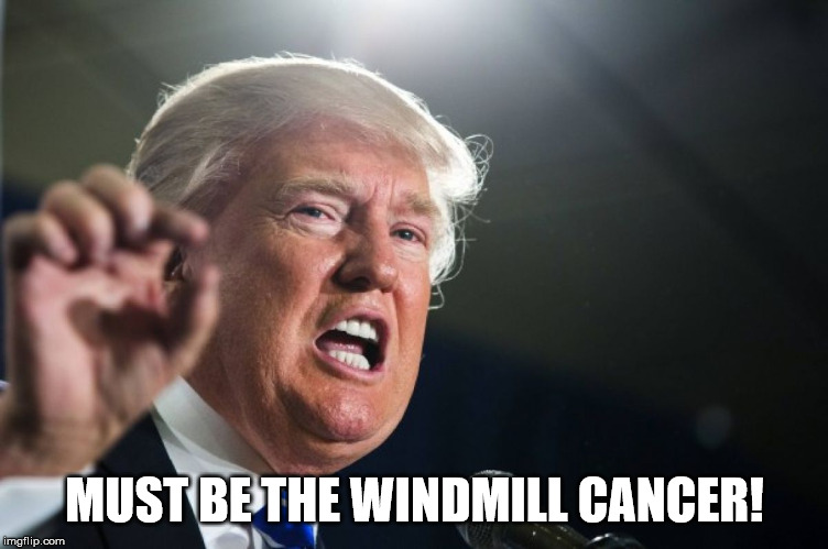 donald trump | MUST BE THE WINDMILL CANCER! | image tagged in donald trump | made w/ Imgflip meme maker
