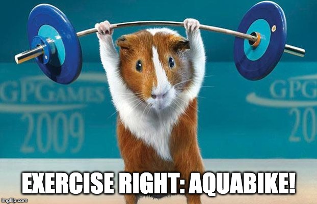Funny exercise  |  EXERCISE RIGHT: AQUABIKE! | image tagged in funny exercise | made w/ Imgflip meme maker