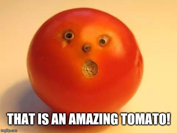 tomato man | THAT IS AN AMAZING TOMATO! | image tagged in tomato man | made w/ Imgflip meme maker