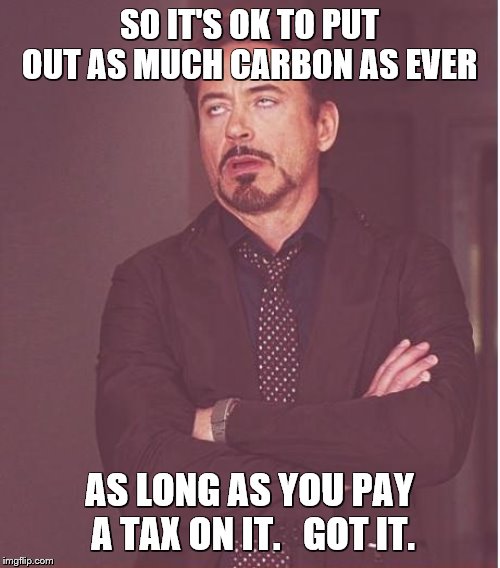 Face You Make Robert Downey Jr Meme | SO IT'S OK TO PUT OUT AS MUCH CARBON AS EVER AS LONG AS YOU PAY A TAX ON IT.   GOT IT. | image tagged in memes,face you make robert downey jr | made w/ Imgflip meme maker