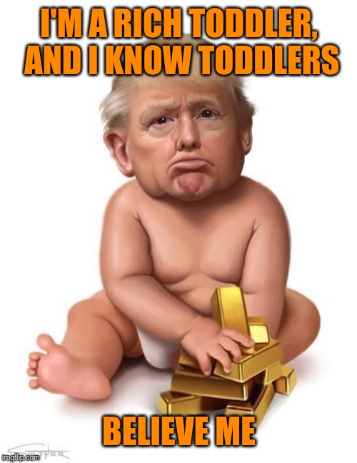 I'M A RICH TODDLER, AND I KNOW TODDLERS BELIEVE ME | made w/ Imgflip meme maker