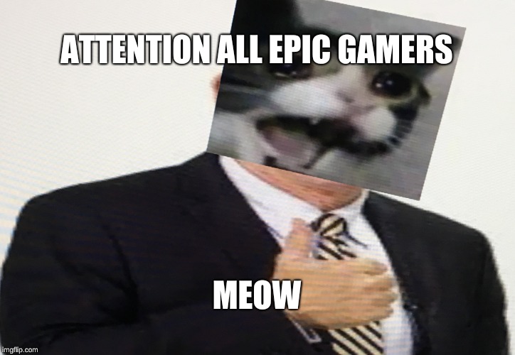 Voiceover Pete the Cat | ATTENTION ALL EPIC GAMERS; MEOW | image tagged in voiceover pete the cat | made w/ Imgflip meme maker