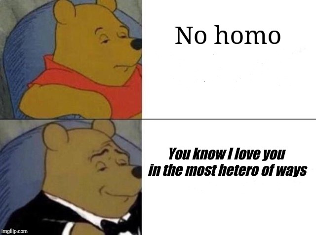 Tuxedo Winnie The Pooh Meme | No homo; You know I love you in the most hetero of ways | image tagged in tuxedo winnie the pooh | made w/ Imgflip meme maker