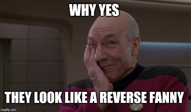 Picard Laugh | WHY YES THEY LOOK LIKE A REVERSE FANNY | image tagged in picard laugh | made w/ Imgflip meme maker