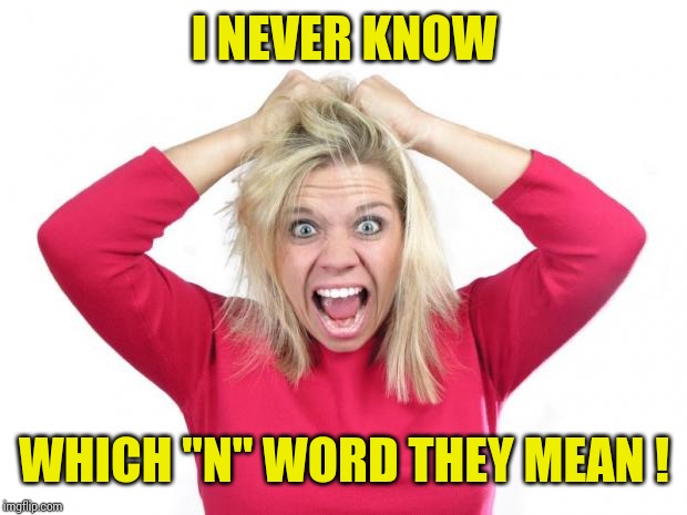 Hair Pulling | I NEVER KNOW WHICH "N" WORD THEY MEAN ! | image tagged in hair pulling | made w/ Imgflip meme maker