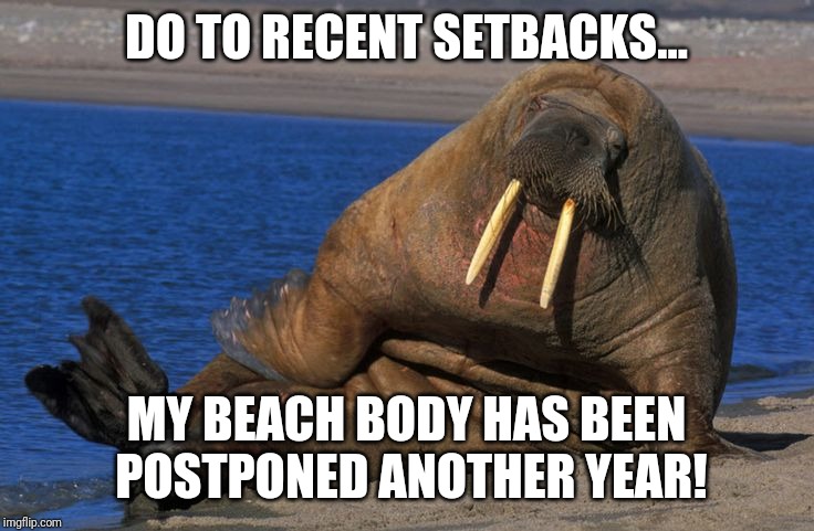 beach body | DO TO RECENT SETBACKS... MY BEACH BODY HAS BEEN POSTPONED ANOTHER YEAR! | image tagged in beach body | made w/ Imgflip meme maker