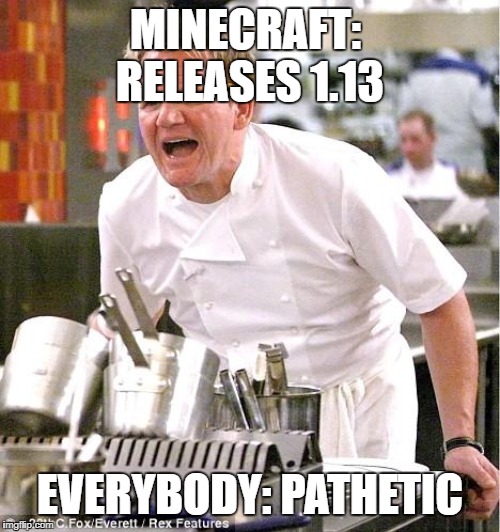 Chef Gordon Ramsay Meme | MINECRAFT:  RELEASES 1.13; EVERYBODY: PATHETIC | image tagged in memes,chef gordon ramsay | made w/ Imgflip meme maker