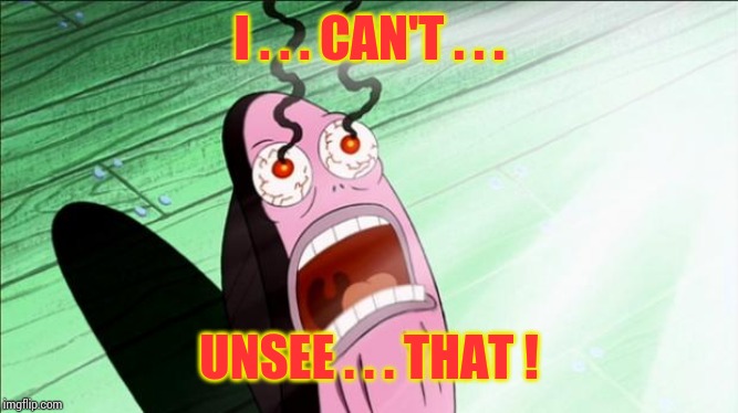 Spongebob My Eyes | I . . . CAN'T . . . UNSEE . . . THAT ! | image tagged in spongebob my eyes | made w/ Imgflip meme maker