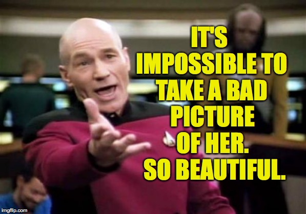 Picard Wtf Meme | IT'S IMPOSSIBLE TO TAKE A BAD PICTURE OF HER.  SO BEAUTIFUL. | image tagged in memes,picard wtf | made w/ Imgflip meme maker