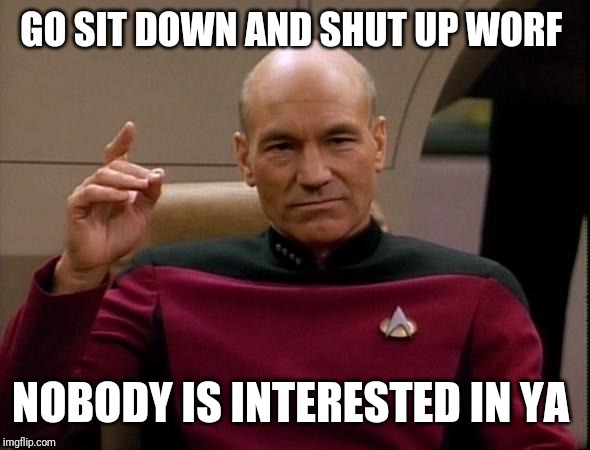 Picard Make it so | GO SIT DOWN AND SHUT UP WORF NOBODY IS INTERESTED IN YA | image tagged in picard make it so | made w/ Imgflip meme maker