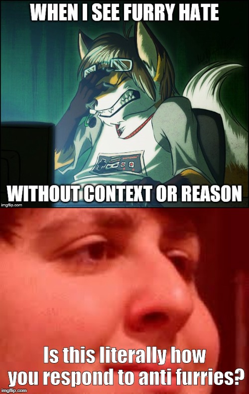 You tend to see this A LOT. Credit I_am_not_a_robot for the furry meme | Is this literally how you respond to anti furries? | image tagged in anti furry,cringe face,screw your mom | made w/ Imgflip meme maker