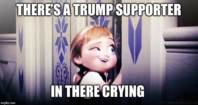 Do You Wanna Build A Snowman | THERE’S A TRUMP SUPPORTER IN THERE CRYING | image tagged in do you wanna build a snowman | made w/ Imgflip meme maker